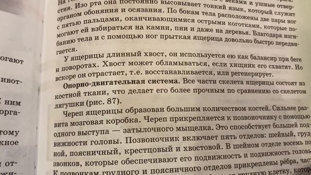Биология/7 кл/Класс Пресмыкающиеся.Особенности внешнего строения/11.03.22 смотреть онлайн
