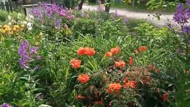 Первый день лета мамина клумба смотреть онлайн
