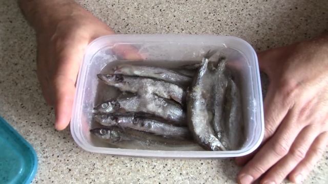 Музыкальная Студия