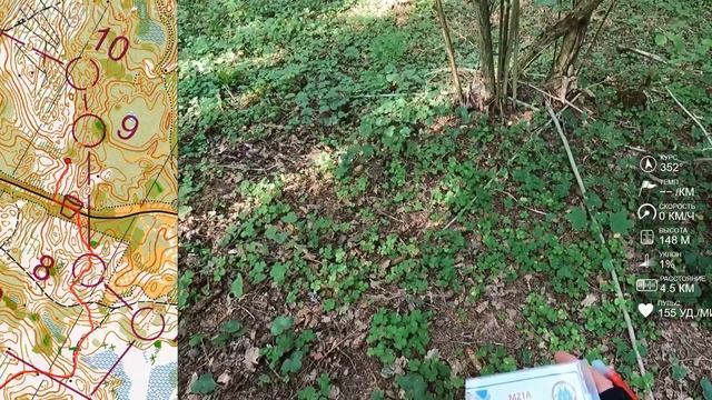 Спортивное ориентирование (headcam orienteering) - Кубок Беларуси среди клубов, лонг - 20.08.2022 смотреть онлайн