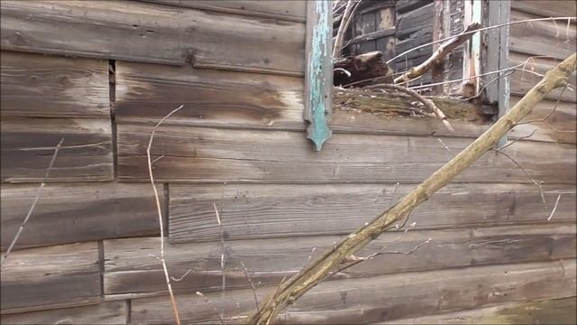 Деревянный зелёный дом сгорел. Сгоревший дом на улице. Улица Степана Разина. Город Орёл смотреть онлайн