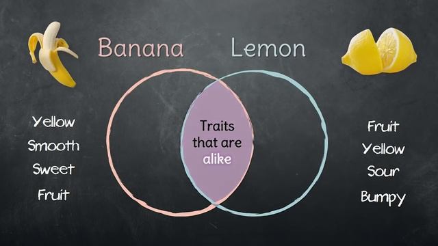 Venn Diagram смотреть онлайн