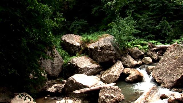 Горная речка Проект Карпаты смотреть онлайн