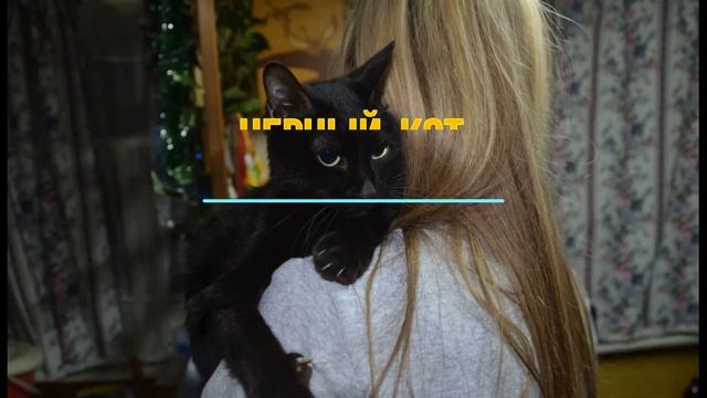 Черная кошка перешла дорогу - это зло? Большая Удача? 5 фактов эзотерика для тебя. смотреть онлайн