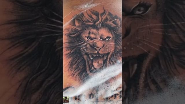 #liontattoo #bangaloretattooartist #bangaloretattoostudio #tattooartist #bangaloretattoo #lion смотреть онлайн