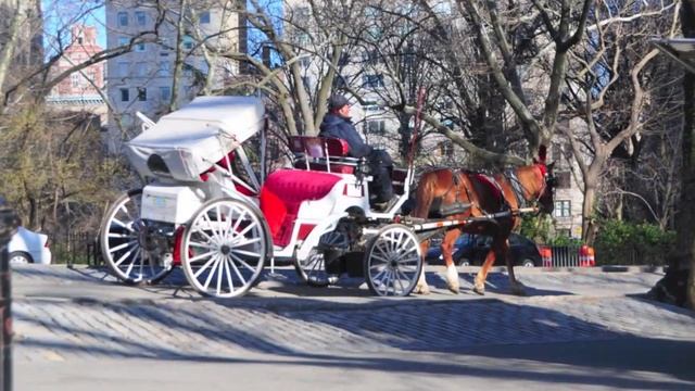 Central Park Carriage Rides - New York City смотреть онлайн
