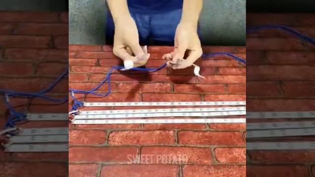 Аквариум из телевизора смотреть онлайн