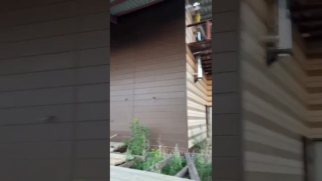 Сноп из пшеницы??? смотреть онлайн