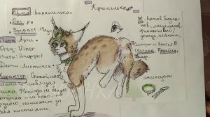 Обзор рисунков котов воителей #13 ?