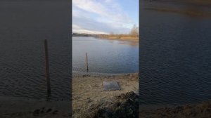 Осушение водоема