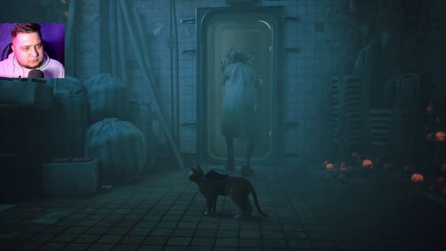 ВЕРНУЛ ДОКА ДОМОЙ - Stray #9 смотреть онлайн