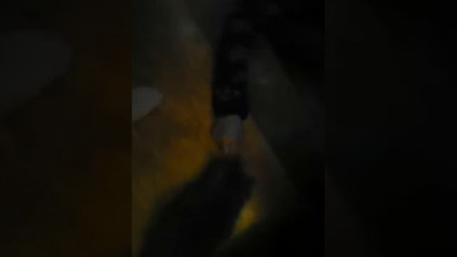 Как научить кота ходить по лестнице Умный способ 1 смотреть онлайн
