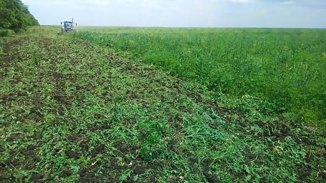 Работа дискатора Алмаз 4/4 по зарослям 2 смотреть онлайн