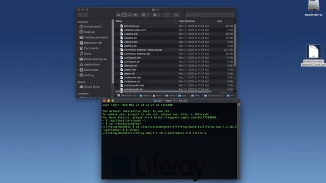 How to Install and Set Up a Local Liferay DXP Instance on Mac смотреть онлайн