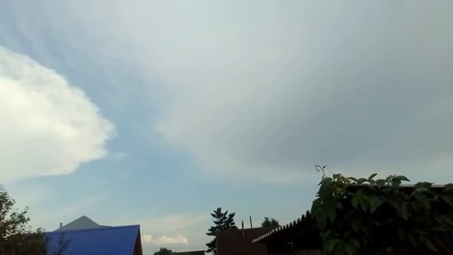 БОЛЬШОЙ ГРИБ В НЕБЕ смотреть онлайн