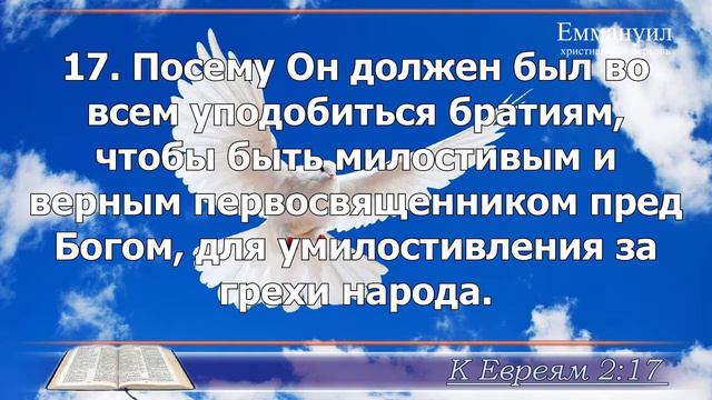 2014.01.07 Ободенко С.И. - Вступительное слово HD смотреть онлайн