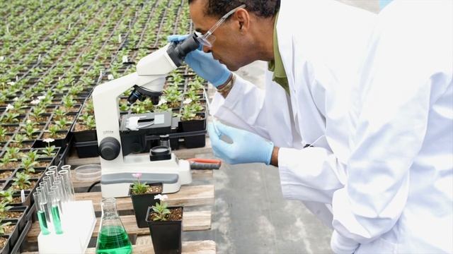 Agricultural and Food Science Technician Career Video смотреть онлайн