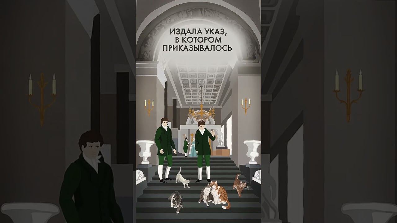 Коты Эрмитажа #shorts #котыэрмитажа #коты смотреть онлайн