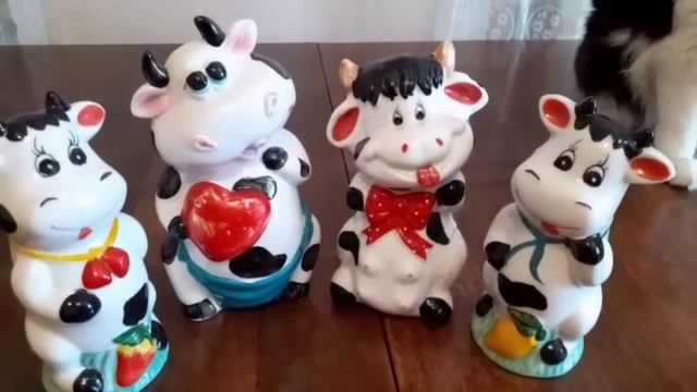 Ейск? Выращиваем огурцы только так!!! Варька.Кузя. В гостях у Веры и Андрея. Именинница. смотреть онлайн