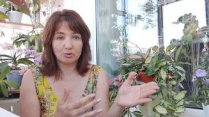 ХОЙИ | уход и содержание | МОЙ ОПЫТ