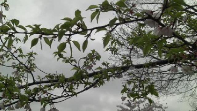 вашингтон смотреть онлайн