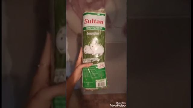 Карликовый кролик, уход смотреть онлайн