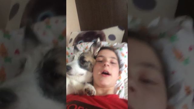Идеи что делать дома &1 смотреть онлайн
