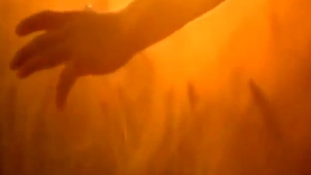 Земля Казахстана на которой я родился! смотреть онлайн