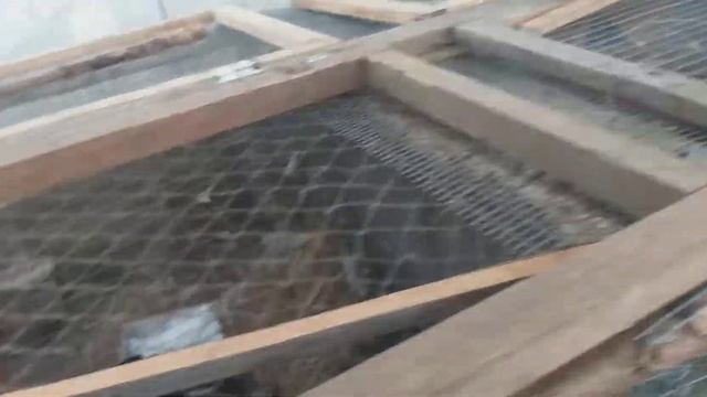 КРОЛИКИ.Как определить кто? Что делать НЕЛЬЗЯ ! смотреть онлайн
