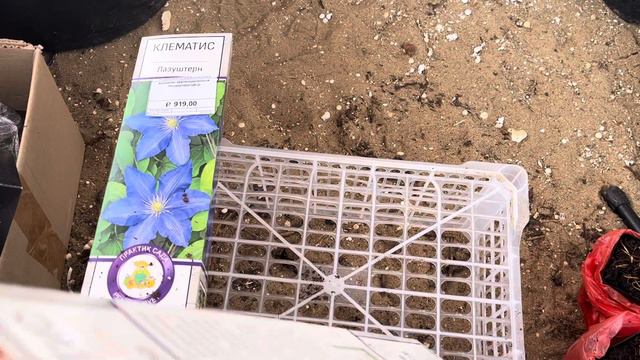 Супер распаковка, клематисы часть 2 смотреть онлайн