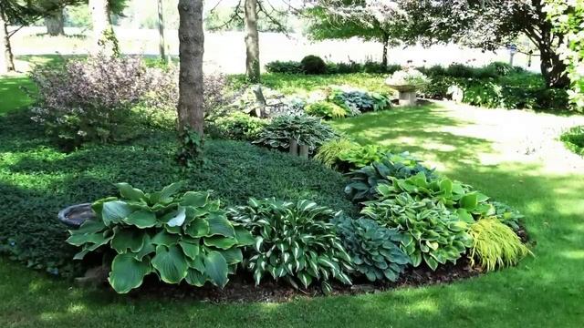 Beautiful Garden Inspiration! ? #1 смотреть онлайн