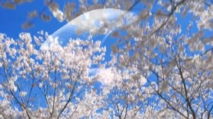 КАК ОТКРЫТЬ ТРЕТИЙ ГЛАЗ ПСАЛТЫРЕМ