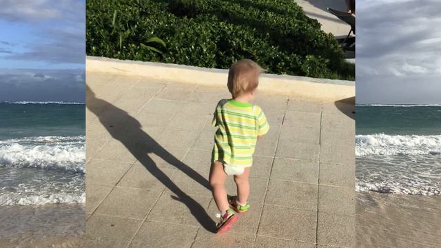 ИВА КРАПИВА в Доминикане, влог! Occidental Caribe, Punta Cana смотреть онлайн