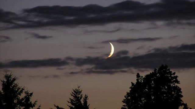 Есть у птиц небесных гнезда смотреть онлайн