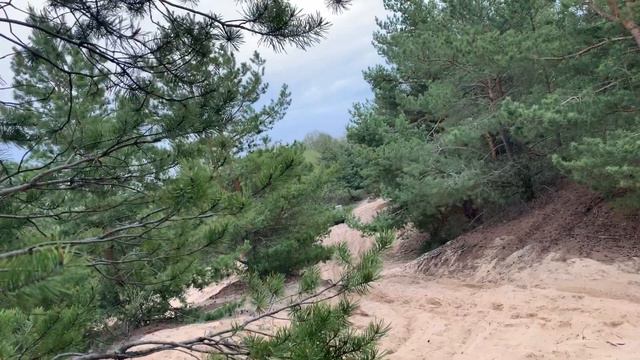 6 мая 2020 г. смотреть онлайн