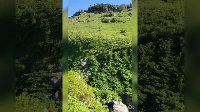 Подъем от яворовой поляны до приюта инструкторская щель.6.07.2022г. смотреть онлайн