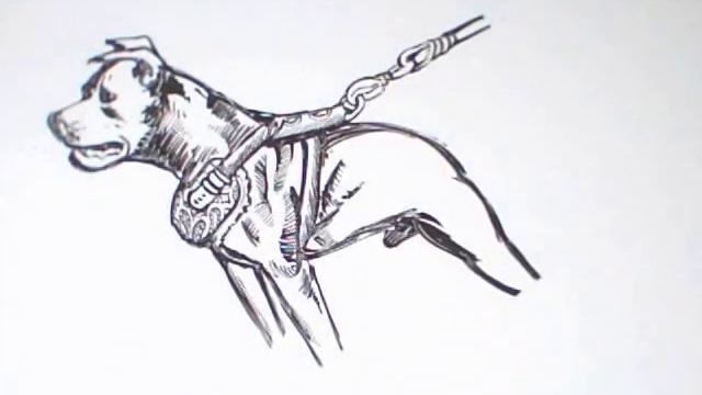 Freestyle Art : American Pit Bull Terrier IV смотреть онлайн