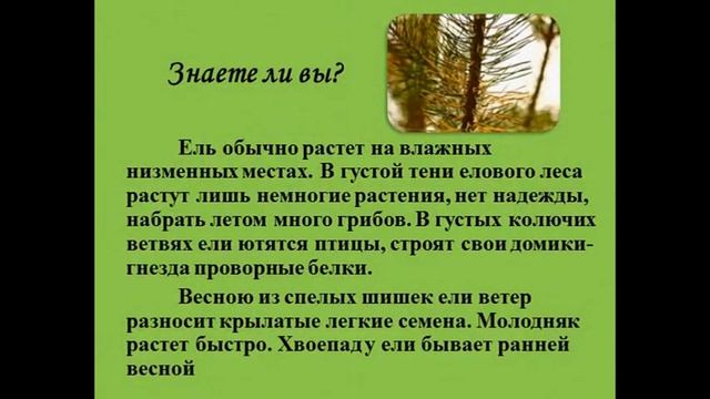 Экологическая викторина смотреть онлайн