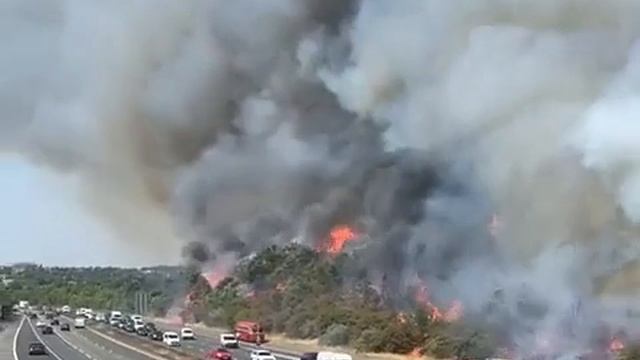 Деревья горят вдоль шоссе к востоку от Лондона посреди экстремальной жары. смотреть онлайн