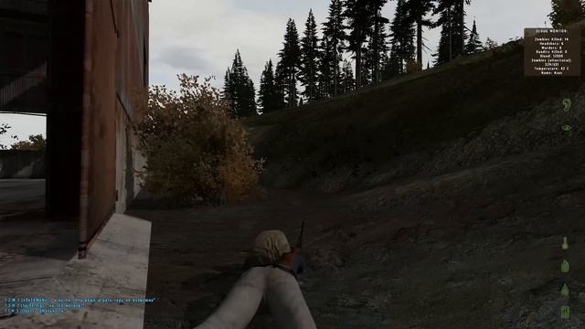 Day Z, геймплей