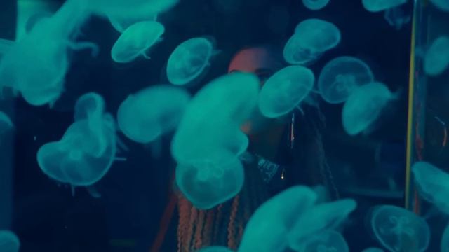 Maluma - Dispuesto (Pseudo Video) Ft. Ozuna