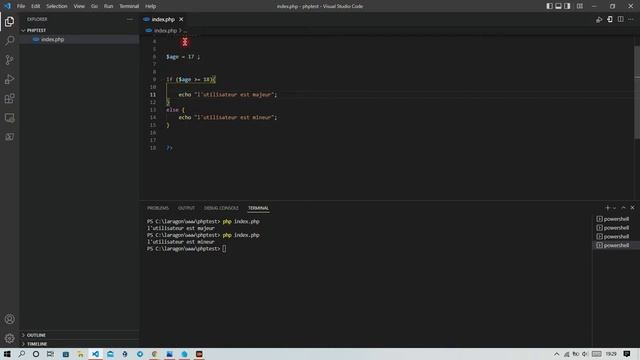 Apprendre le php: notions de bases (environnement,variables, types et conditions) смотреть онлайн