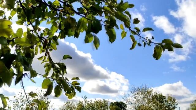 Еврейская Мудрость (ВОТ Эти 10 Правил нужно Знать Каждому!). смотреть онлайн