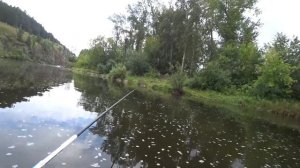 ПОПЛАВОК КТО-ТО ПОТАЩИЛ...как КАРАСЬ. РЫБАЛКА НА УДОЧКУ НА ЖИВЦА