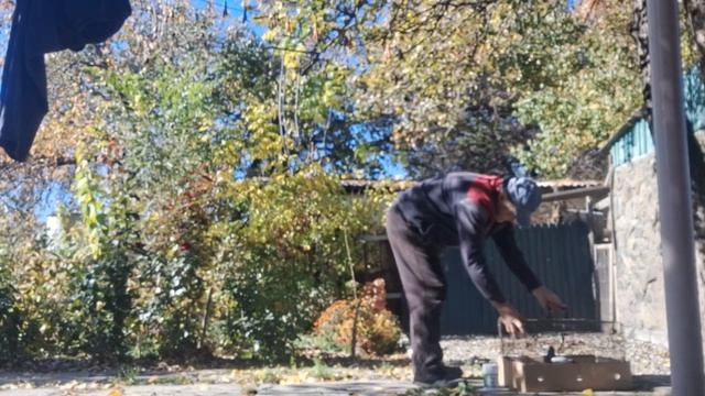 Голубятам волшебные китайские шарики. #голубеводство смотреть онлайн