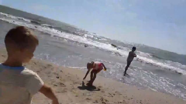 ВЛОГ : Одесса ,море ,чайки/Пляж Лузановка/Одесские коты смотреть онлайн