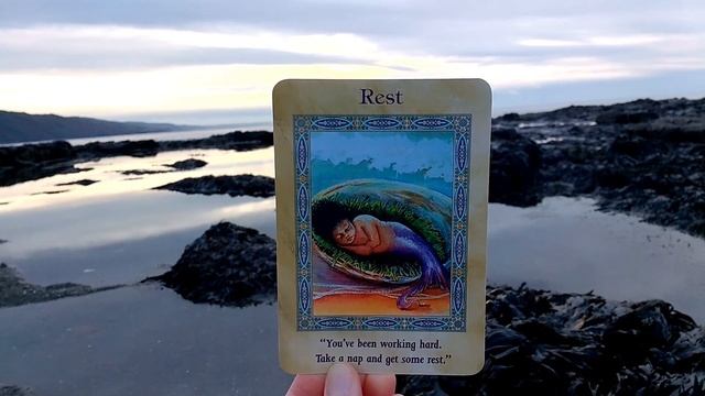 Daily Tarot Get Some Rest Oracle Card Reading смотреть онлайн