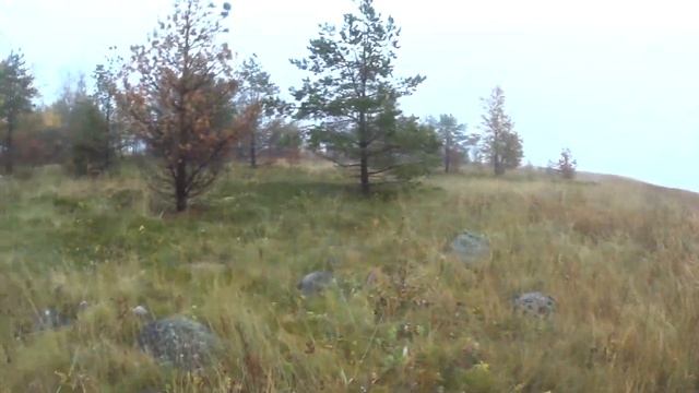 Охота на гуся в Карелии смотреть онлайн