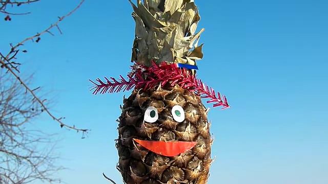 С НОВЫМ ГОДОМ ВЕРОНИКА ОТ Ананасыча смотреть онлайн