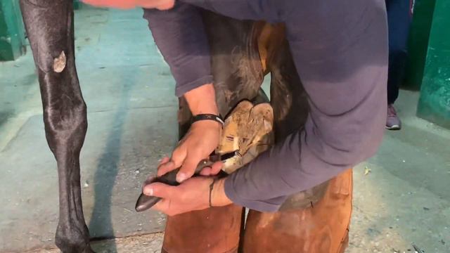 Главное расчистка / видео 1 смотреть онлайн